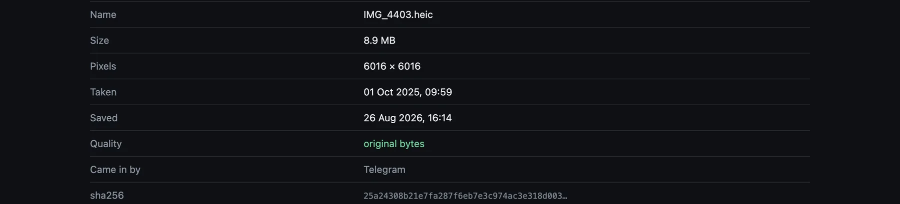 One photograph's details: name, size, pixel dimensions, when it was taken, quality reading original bytes, and its sha256